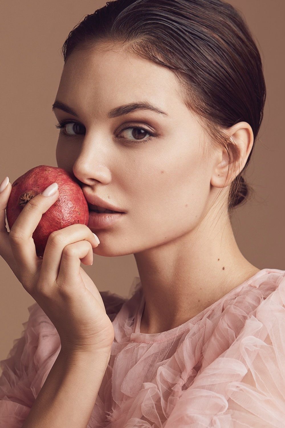 vlada