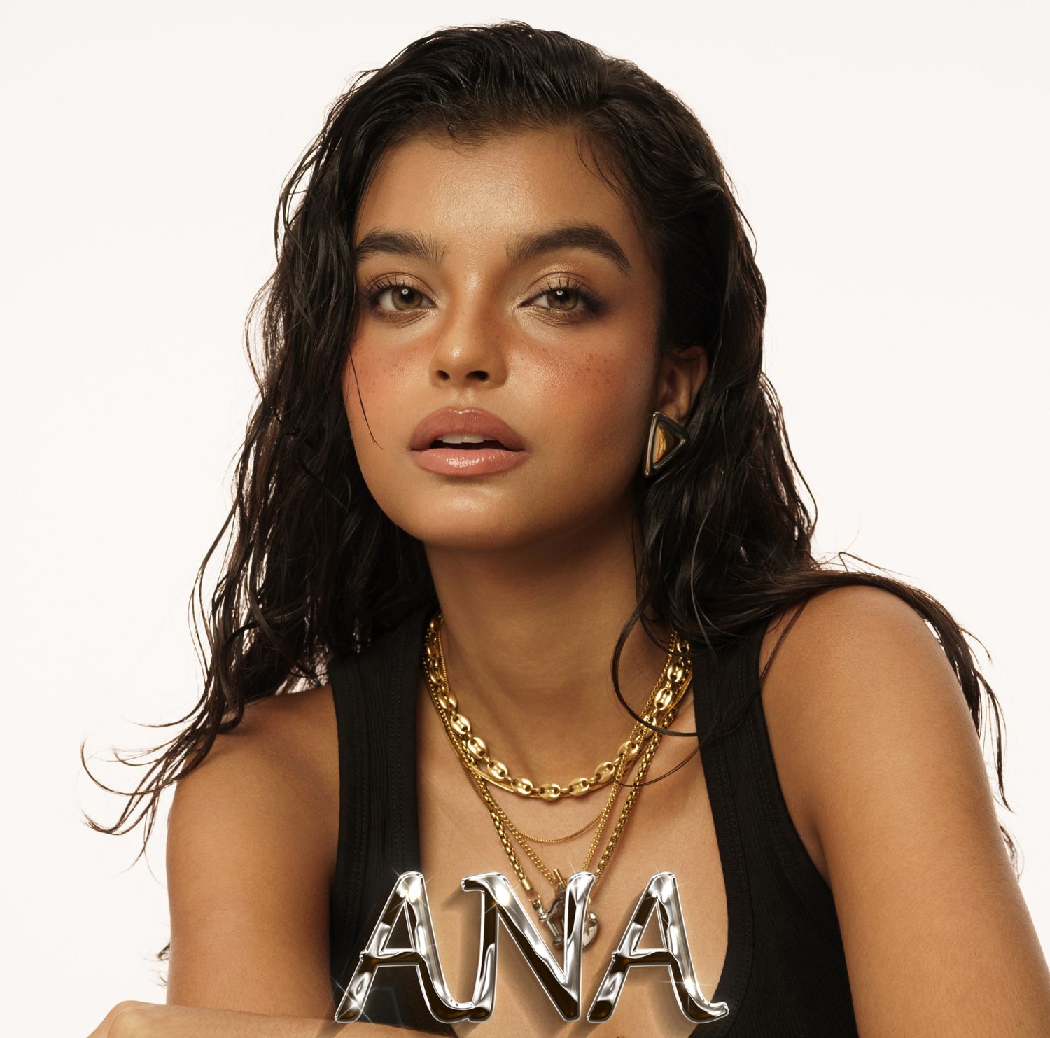 ANA(一）