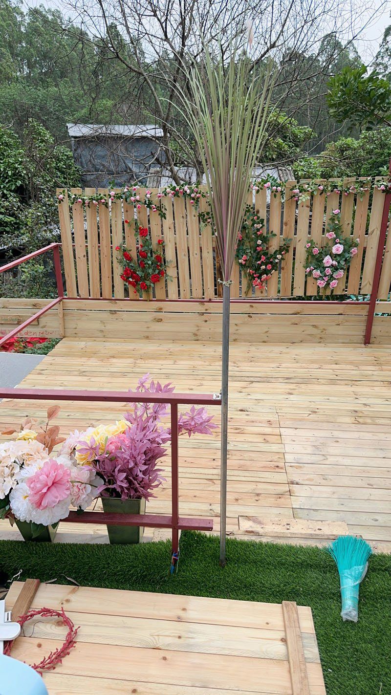 伊甸园Eden Studio
